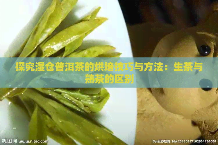 探究湿仓普洱茶的烘培技巧与方法：生茶与熟茶的区别