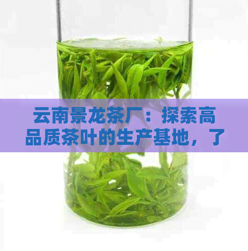 云南景龙茶厂：探索高品质茶叶的生产基地，了解茶叶制作工艺与历文化