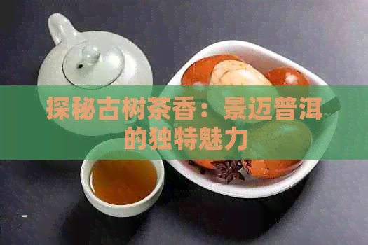 探秘古树茶香：景迈普洱的独特魅力