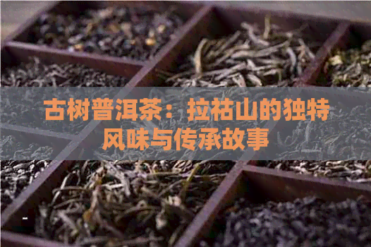 古树普洱茶：拉祜山的独特风味与传承故事