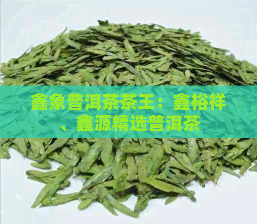 鑫象普洱茶茶王：鑫裕祥、鑫源精选普洱茶