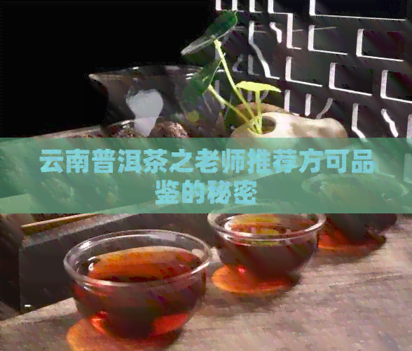 云南普洱茶之老师推荐方可品鉴的秘密