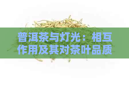 普洱茶与灯光：相互作用及其对茶叶品质的影响