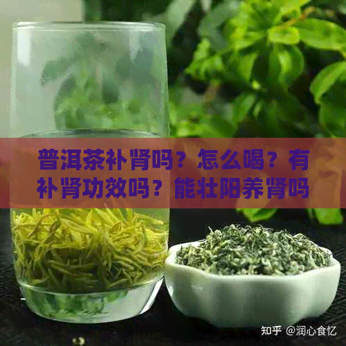 普洱茶补肾吗？怎么喝？有补肾功效吗？能壮阳养肾吗？