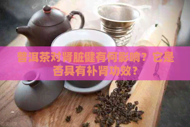 普洱茶对肾脏健有何影响？它是否具有补肾功效？