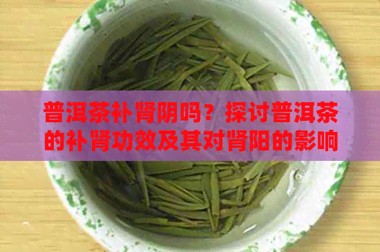 普洱茶补肾阴吗？探讨普洱茶的补肾功效及其对肾阳的影响