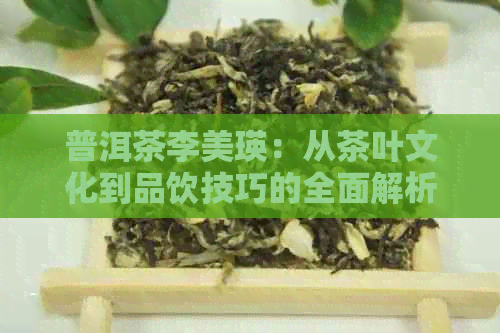 普洱茶李美瑛：从茶叶文化到品饮技巧的全面解析与实践指南