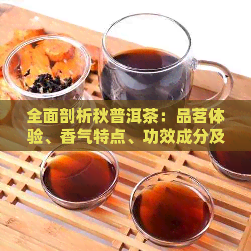 全面剖析秋普洱茶：品茗体验、香气特点、功效成分及泡茶技巧的优缺点解析