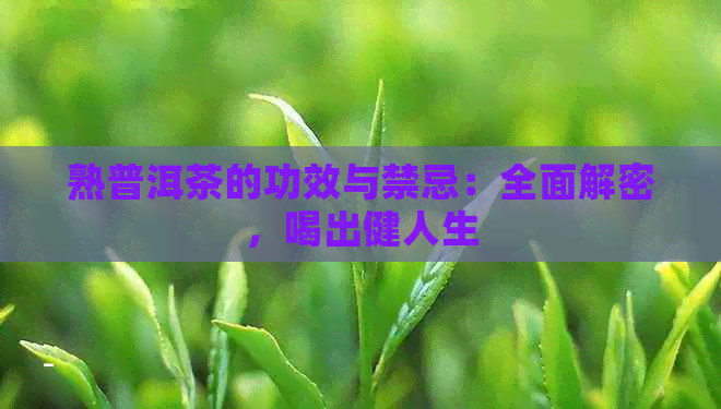 熟普洱茶的功效与禁忌：全面解密，喝出健人生