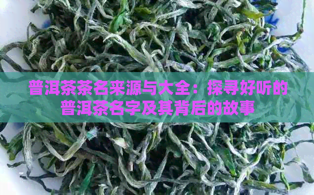 普洱茶茶名来源与大全：探寻好听的普洱茶名字及其背后的故事