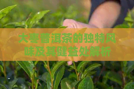 大枣普洱茶的独特风味及其健益处解析