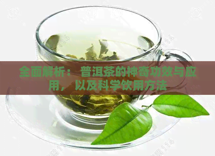 全面解析： 普洱茶的神奇功效与应用， 以及科学饮用方法