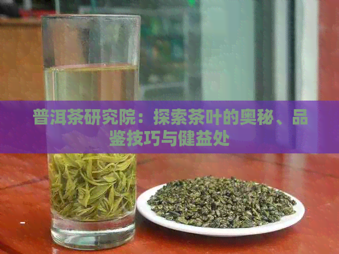 普洱茶研究院：探索茶叶的奥秘、品鉴技巧与健益处