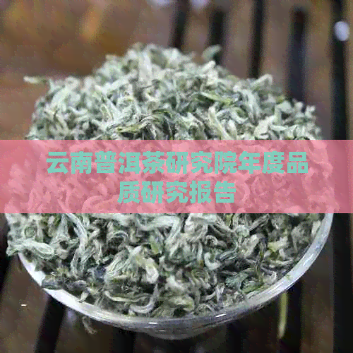 云南普洱茶研究院年度品质研究报告