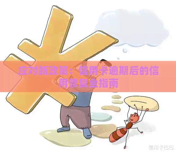 应对新政策：信用卡逾期后的信用修复全指南