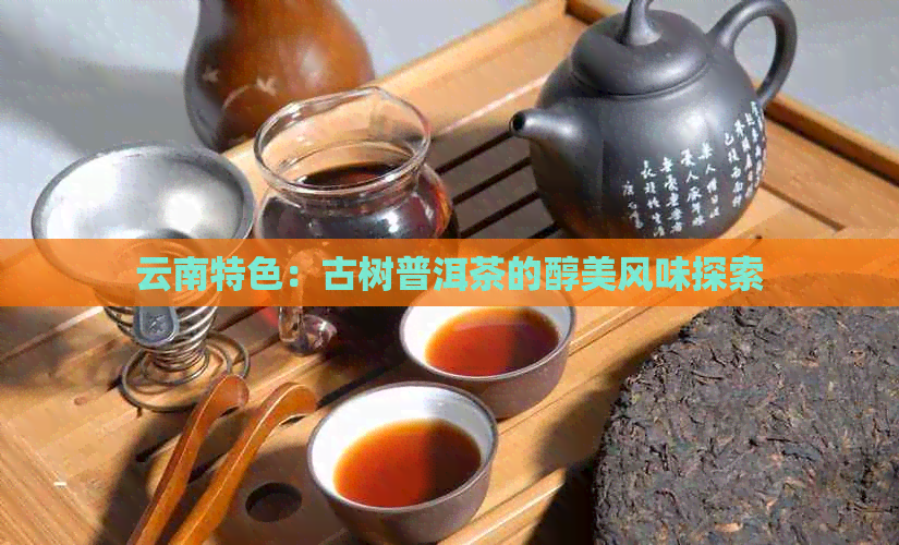 云南特色：古树普洱茶的醇美风味探索