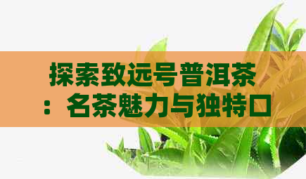 探索致远号普洱茶：名茶魅力与独特口感的完美结合