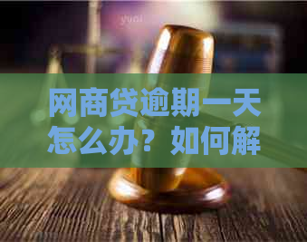 网商贷逾期一天怎么办？如何解决还款问题以及可能产生的后果