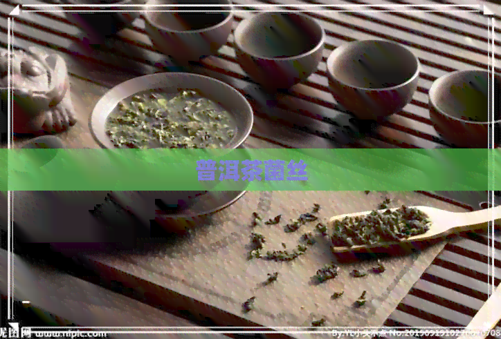 普洱茶菌丝