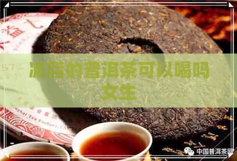 减脂的普洱茶可以喝吗女生