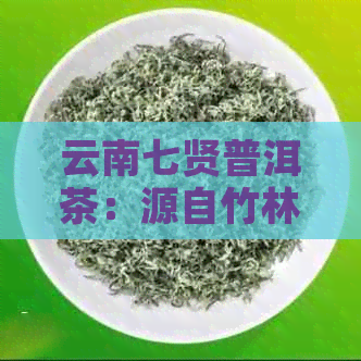 云南七贤普洱茶：源自竹林七贤的精选茶叶，资讯与价格一网打尽