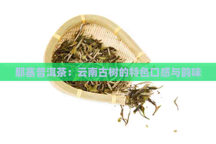 那塞普洱茶：云南古树的特色口感与韵味