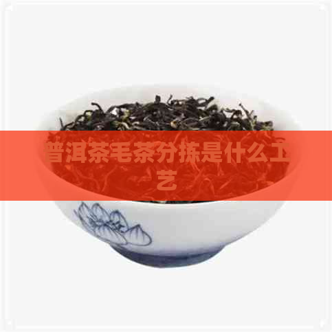 普洱茶毛茶分拣是什么工艺