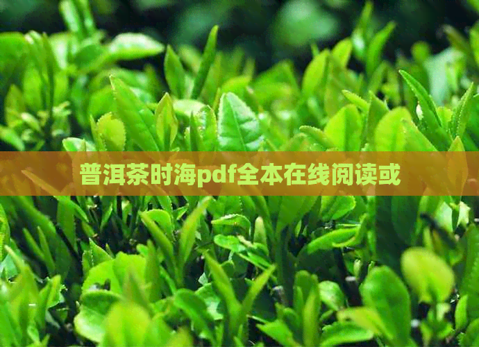 普洱茶时海pdf全本在线阅读或