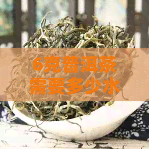 6克普洱茶需要多少水？一克茶叶需要多少水？普洱茶的冲泡比例和技巧详解