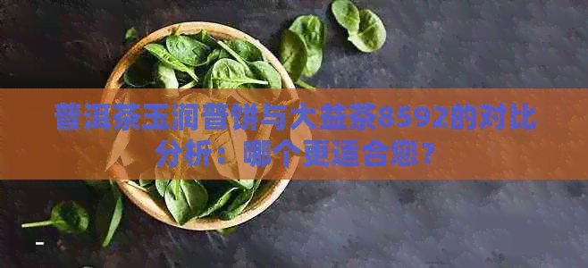 普洱茶玉润普饼与大益茶8592的对比分析：哪个更适合您？