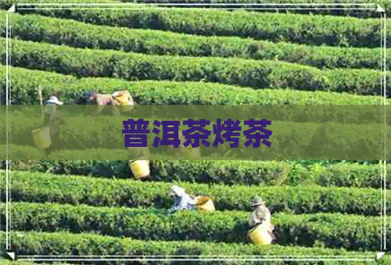 普洱茶烤茶