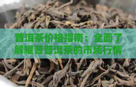 普洱茶价格指南：全面了解耀普普洱茶的市场行情和投资价值