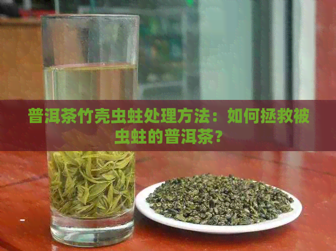 普洱茶竹壳虫蛀处理方法：如何拯救被虫蛀的普洱茶？