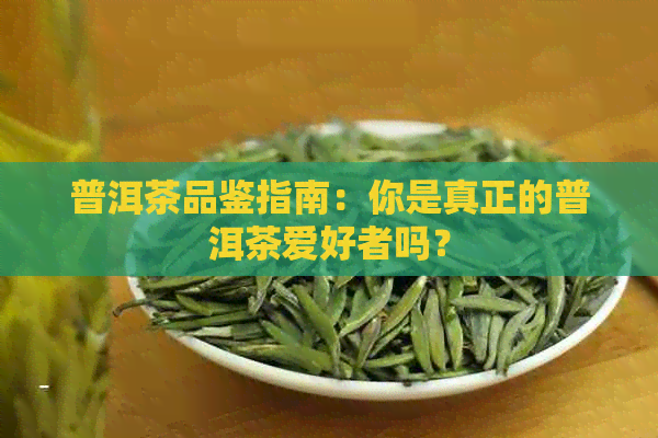 普洱茶品鉴指南：你是真正的普洱茶爱好者吗？