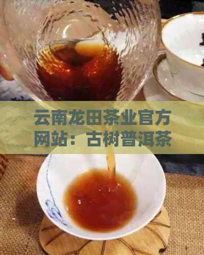 云南龙田茶业官方网站：古树普洱茶的醇厚味道与独特价值