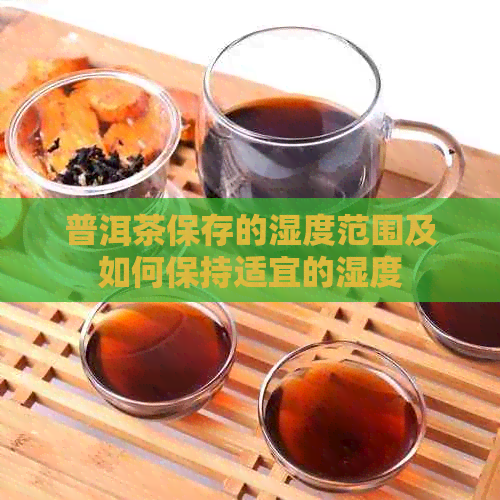 普洱茶保存的湿度范围及如何保持适宜的湿度