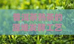 普洱茶熟茶的渥堆发酵工艺起源于哪一年？