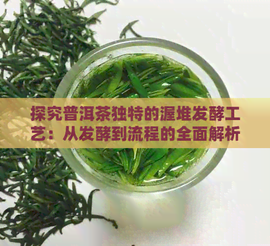 探究普洱茶独特的渥堆发酵工艺：从发酵到流程的全面解析