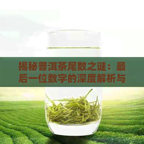 揭秘普洱茶尾数之谜：最后一位数字的深度解析与含义