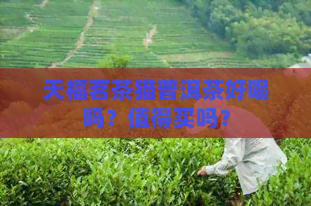 天福茗茶猫普洱茶好喝吗？值得买吗？