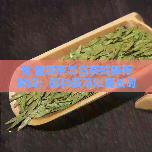 新 普洱茶与白茶的保存时间：哪种茶可以更长时间存？