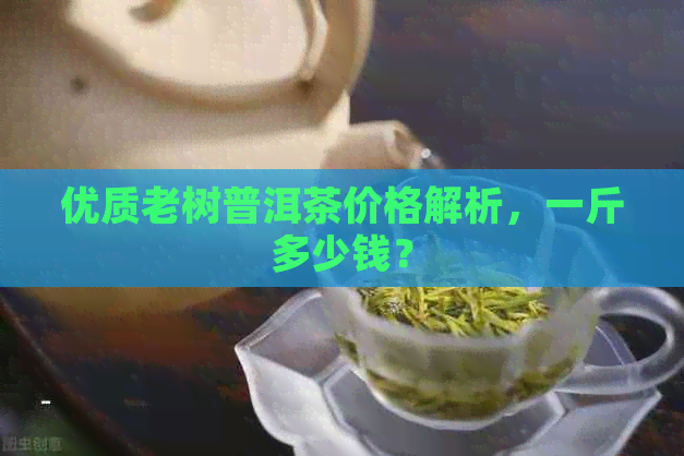 优质老树普洱茶价格解析，一斤多少钱？