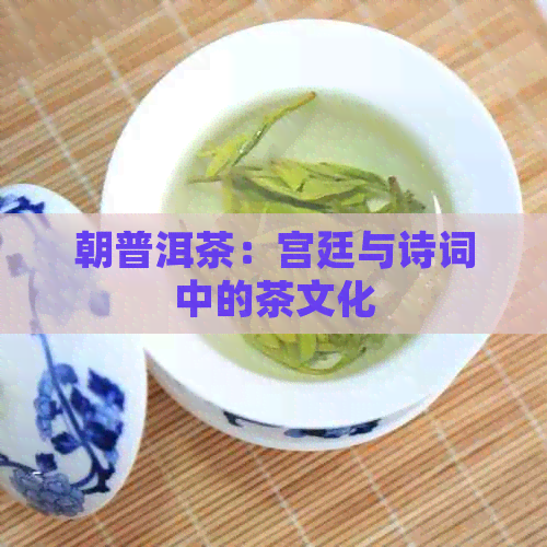 朝普洱茶：宫廷与诗词中的茶文化