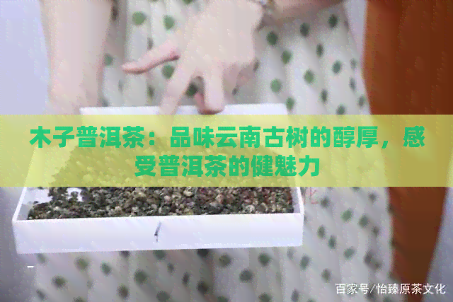 木子普洱茶：品味云南古树的醇厚，感受普洱茶的健魅力