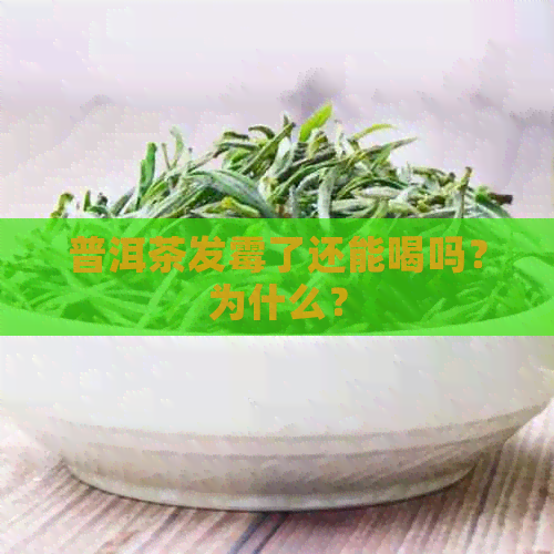 普洱茶发霉了还能喝吗？为什么？