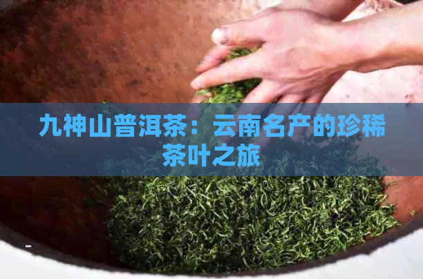 九神山普洱茶：云南名产的珍稀茶叶之旅