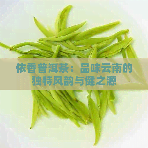 依香普洱茶：品味云南的独特风韵与健之源