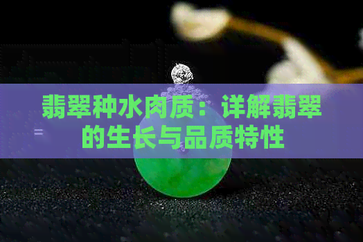 翡翠种水肉质：详解翡翠的生长与品质特性