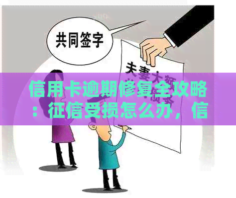 信用卡逾期修复全攻略：受损怎么办，信用恢复指南来了！