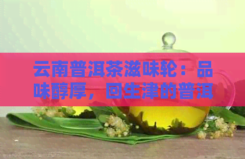 云南普洱茶滋味轮：品味醇厚，回生津的普洱茶口感特点